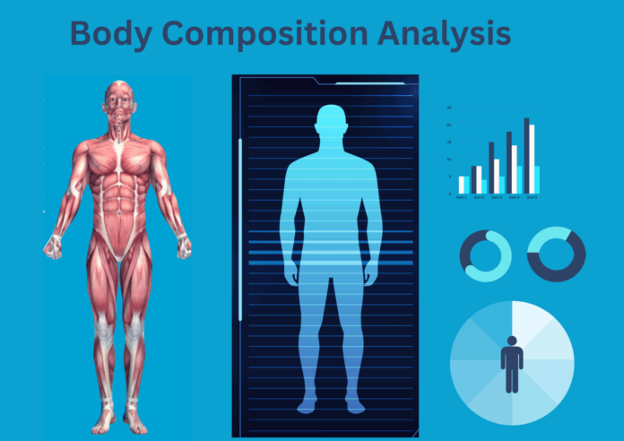 Body-Composition-analysis