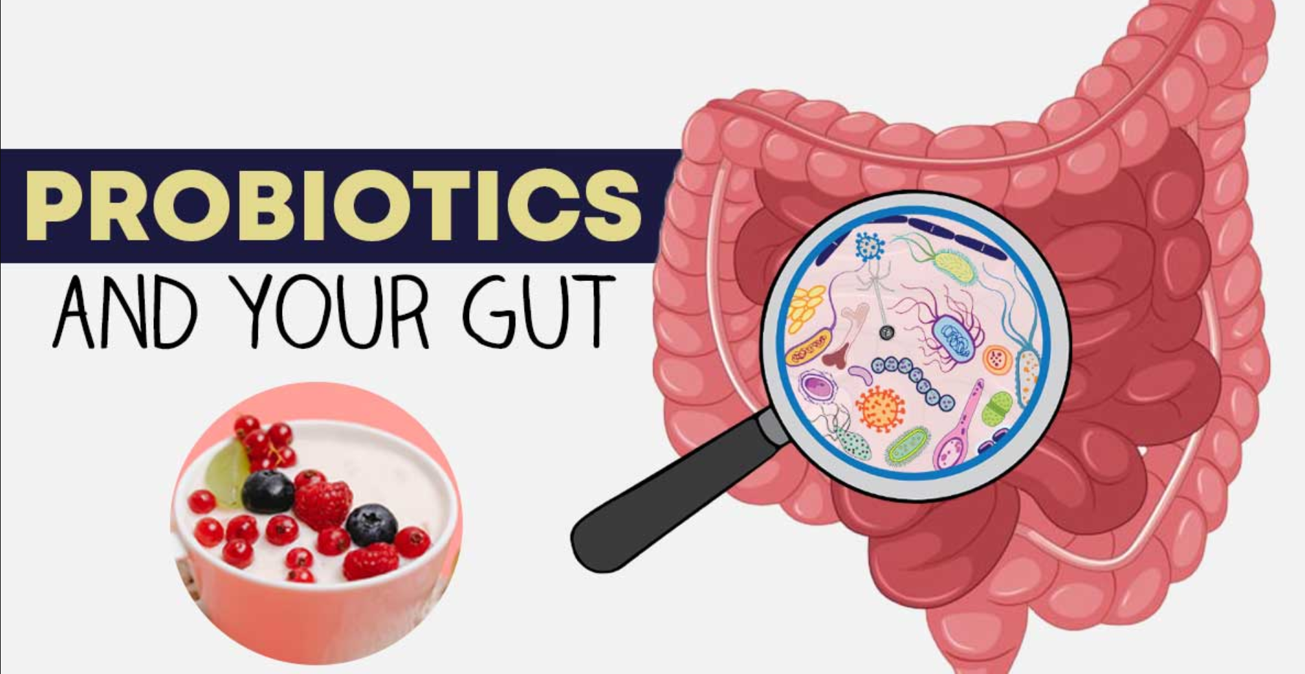 Probiotics-and-your-gut